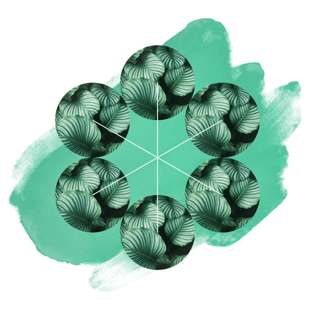 18 Unkillable Plants for a Windowless Home Office